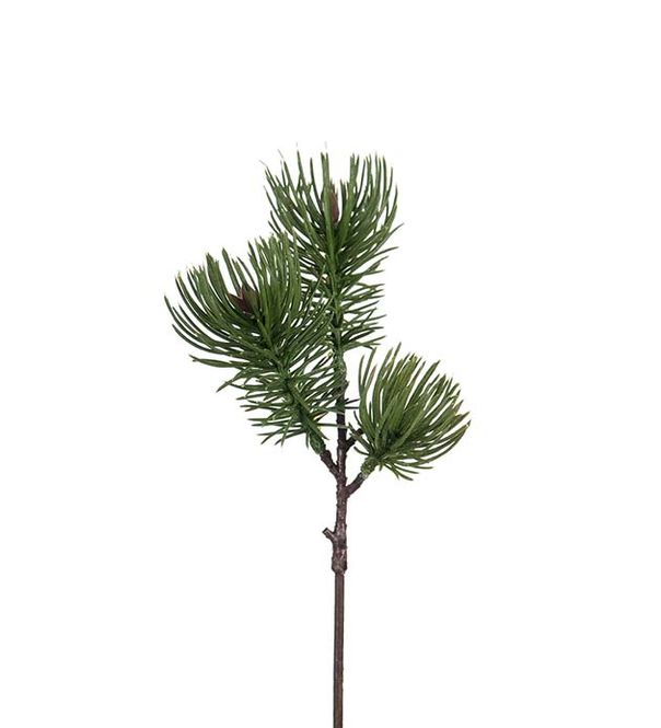 Hovedbilde Furukvist 28 cm