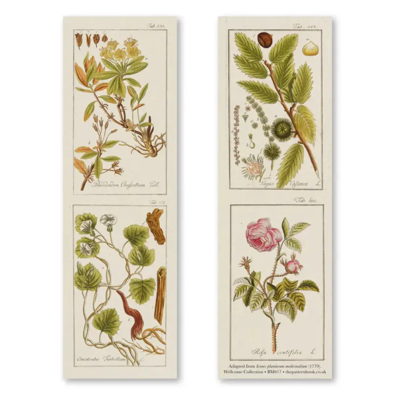 The Pattern Book Botanical Illustrations bokmerke 3pk