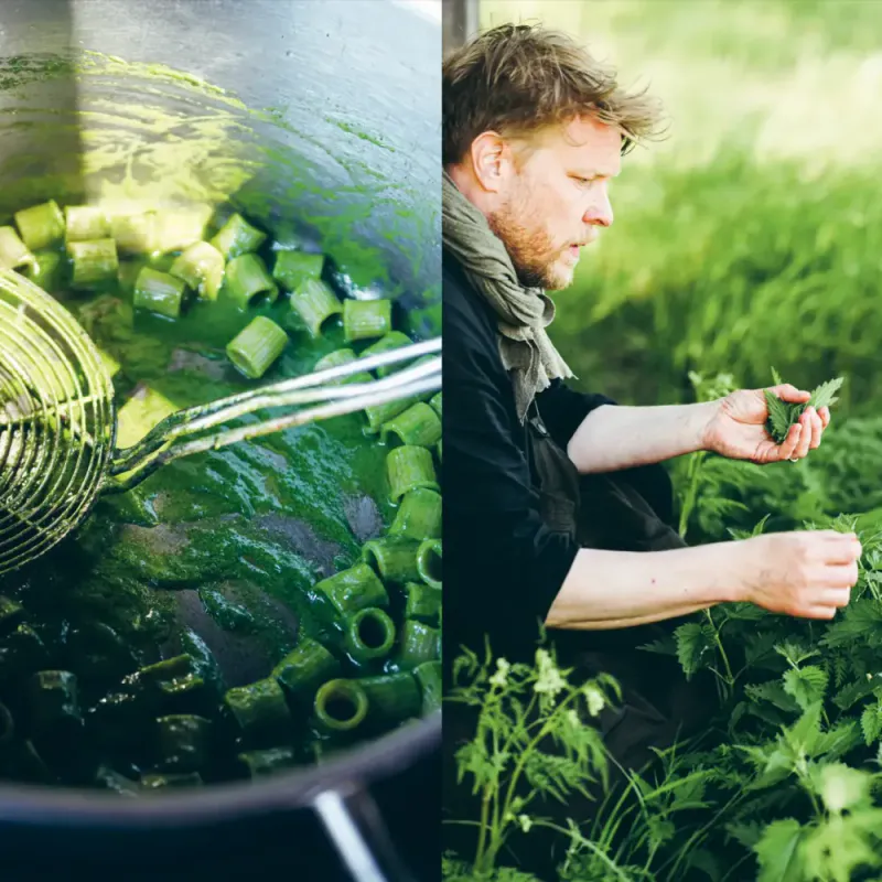 Chef’S Wild Nordic – Recipes For 72 Micro-Seasons