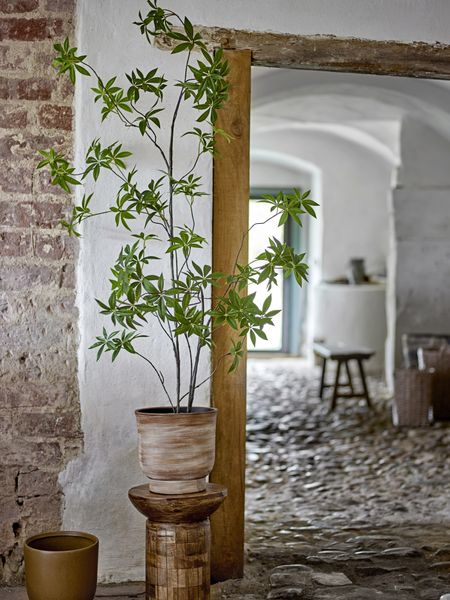 Palmatum Kunstig plante