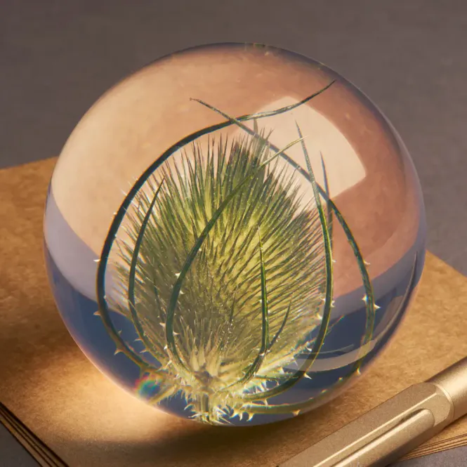 Hovedbilde Hafod Grange Teasel paperweight L