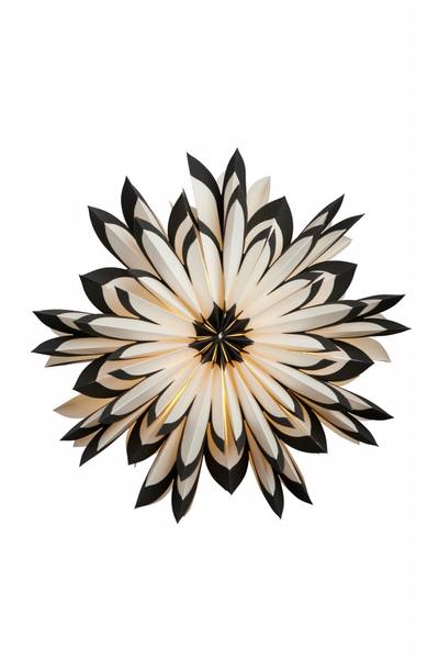 Papirstjerne Freja 50 svart Watt&Veke