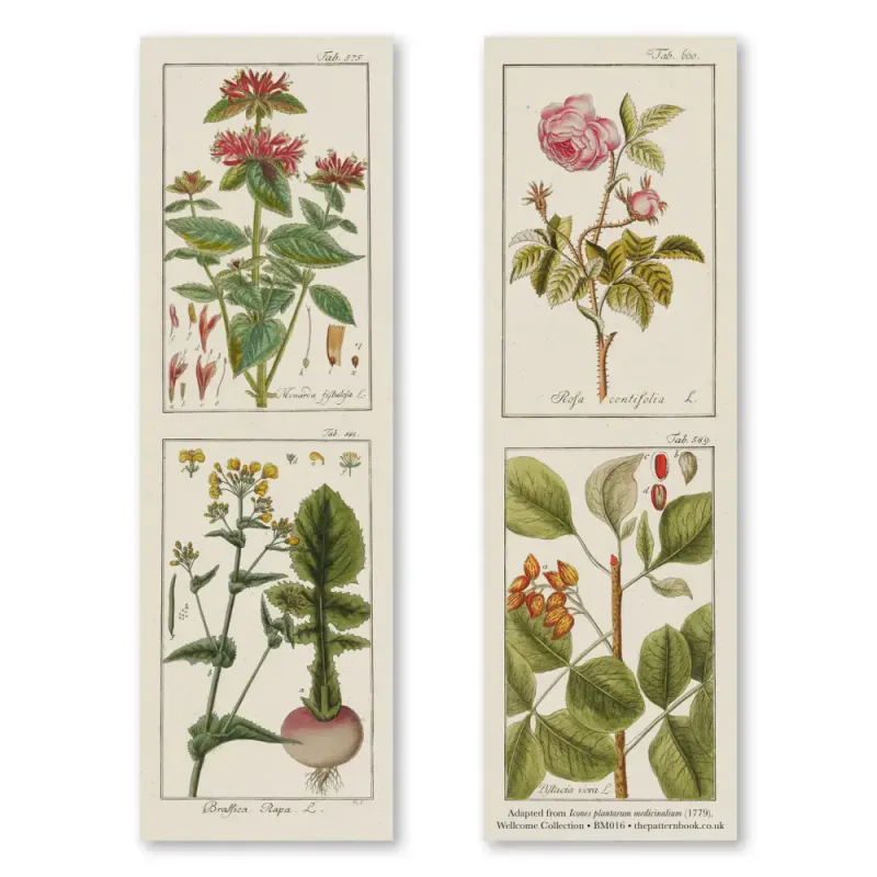 The Pattern Book Botanical Illustrations bokmerke 3pk