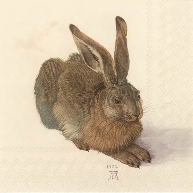 Hovedbilde Ihr servietter Dürer Hase