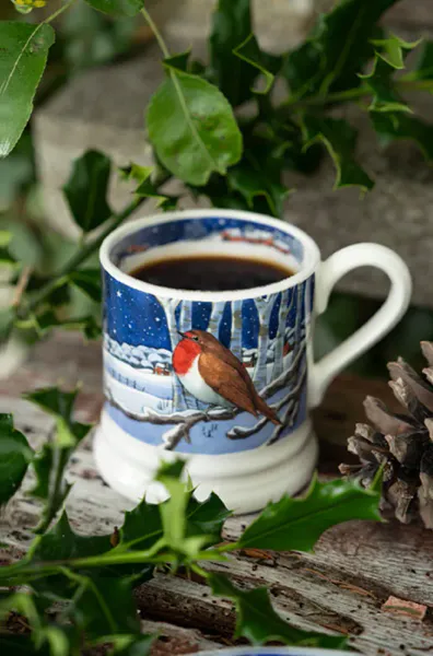 Emma Bridgewater Midnight Robin Krus 
