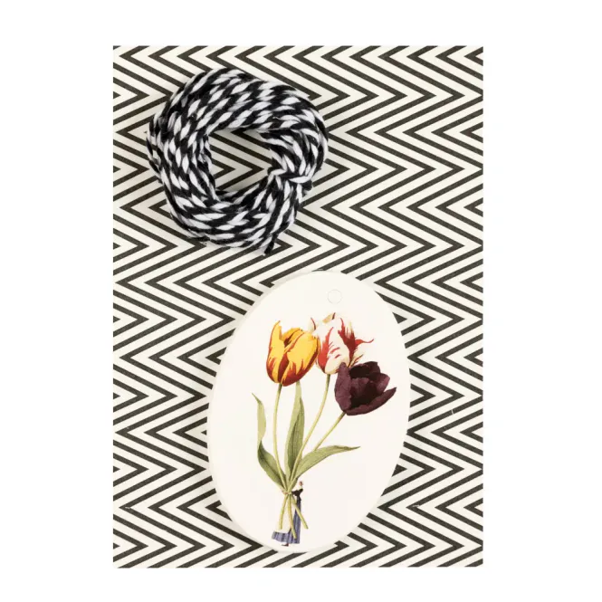 Hovedbilde Laura Stoddart Tulips 12 tags