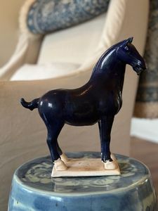 Hovedbilde Annuzza Bl&aring; Hest liten
