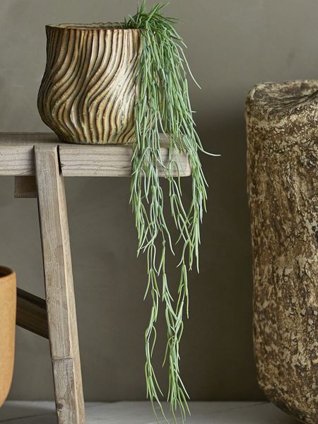 Tilandsia Kunstig plante