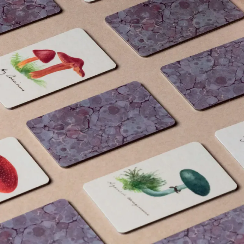 Roomytown Fungi Memory Game 