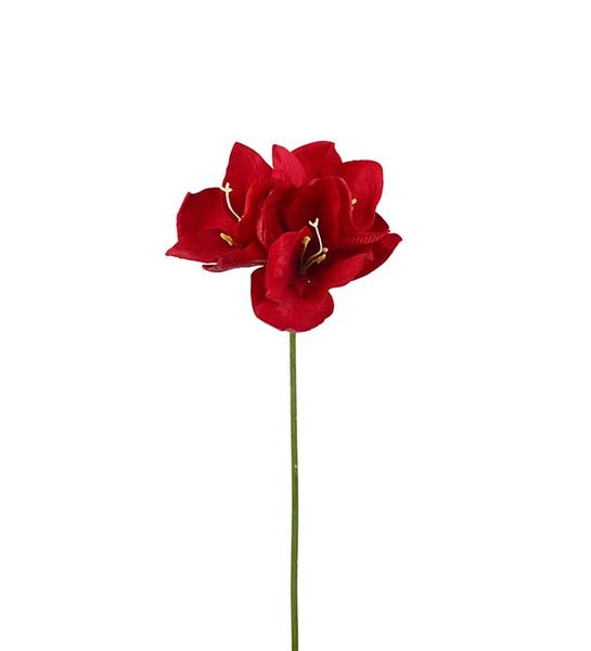 Amaryllis rød 63cm