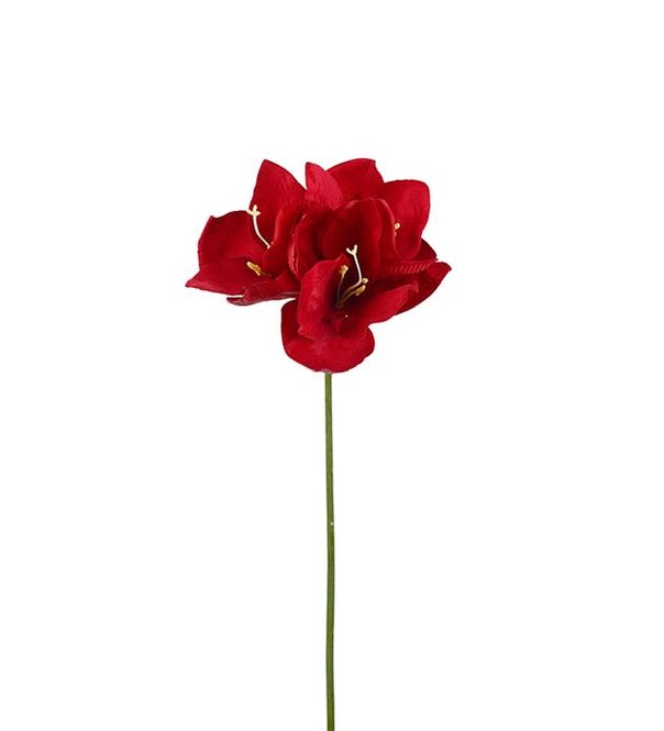 Hovedbilde Amaryllis rød 63cm