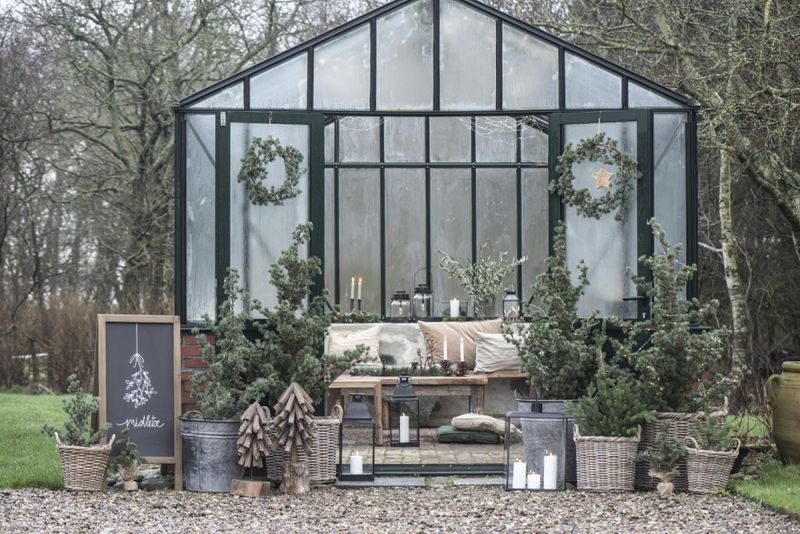 Ib Laursen Juletre/cedertre 