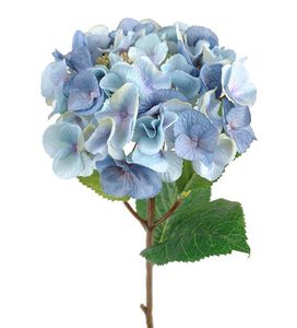 Hovedbilde Mr Plant Hortensia lysebl&aring;