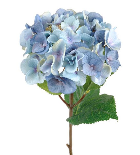 Mr Plant Hortensia lyseblå