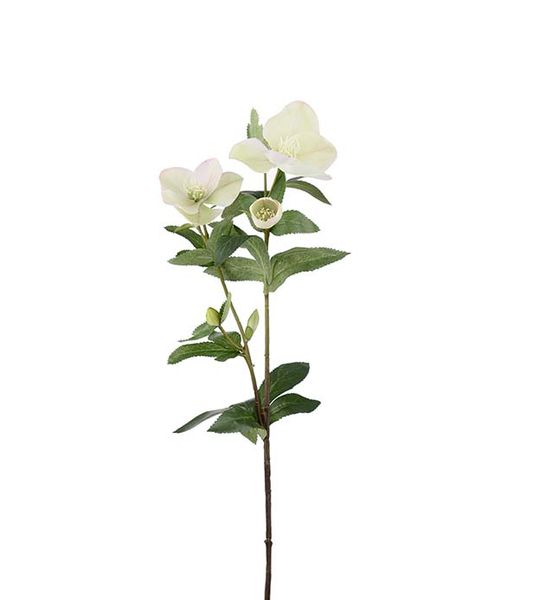 Julerose hvit 63cm