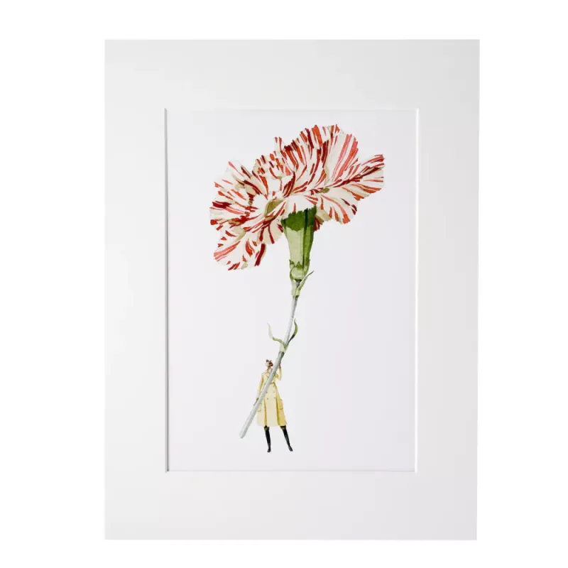 Laura Stoddart A4 Print - Carnation
