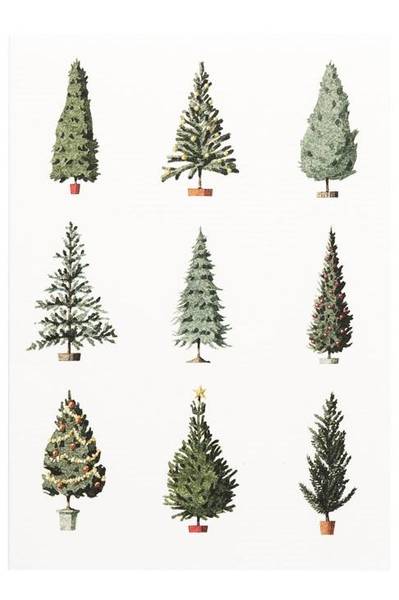 Laura Stoddart Christmas Tree 10 pk julekort