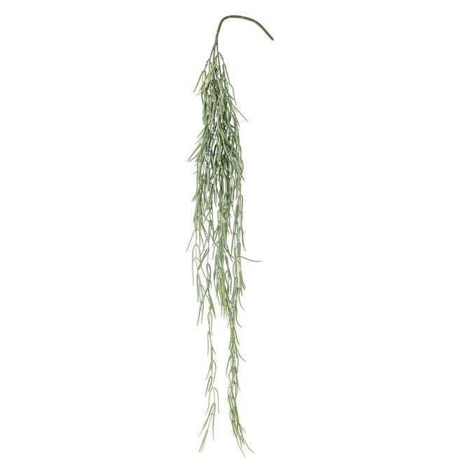 Hovedbilde Tilandsia Kunstig plante