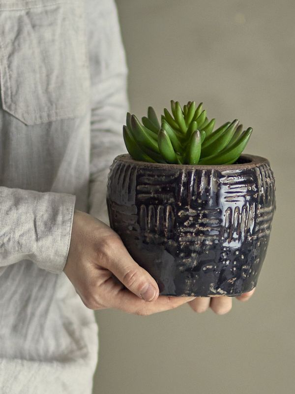 Echeveria Kunstig plante
